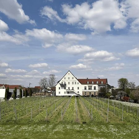 דירות Neustadt an der Weinstraße Weinzeit13 מראה חיצוני תמונה