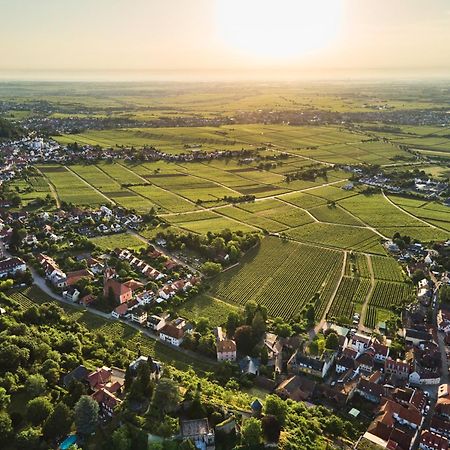 דירות Neustadt an der Weinstraße Weinzeit13 מראה חיצוני תמונה