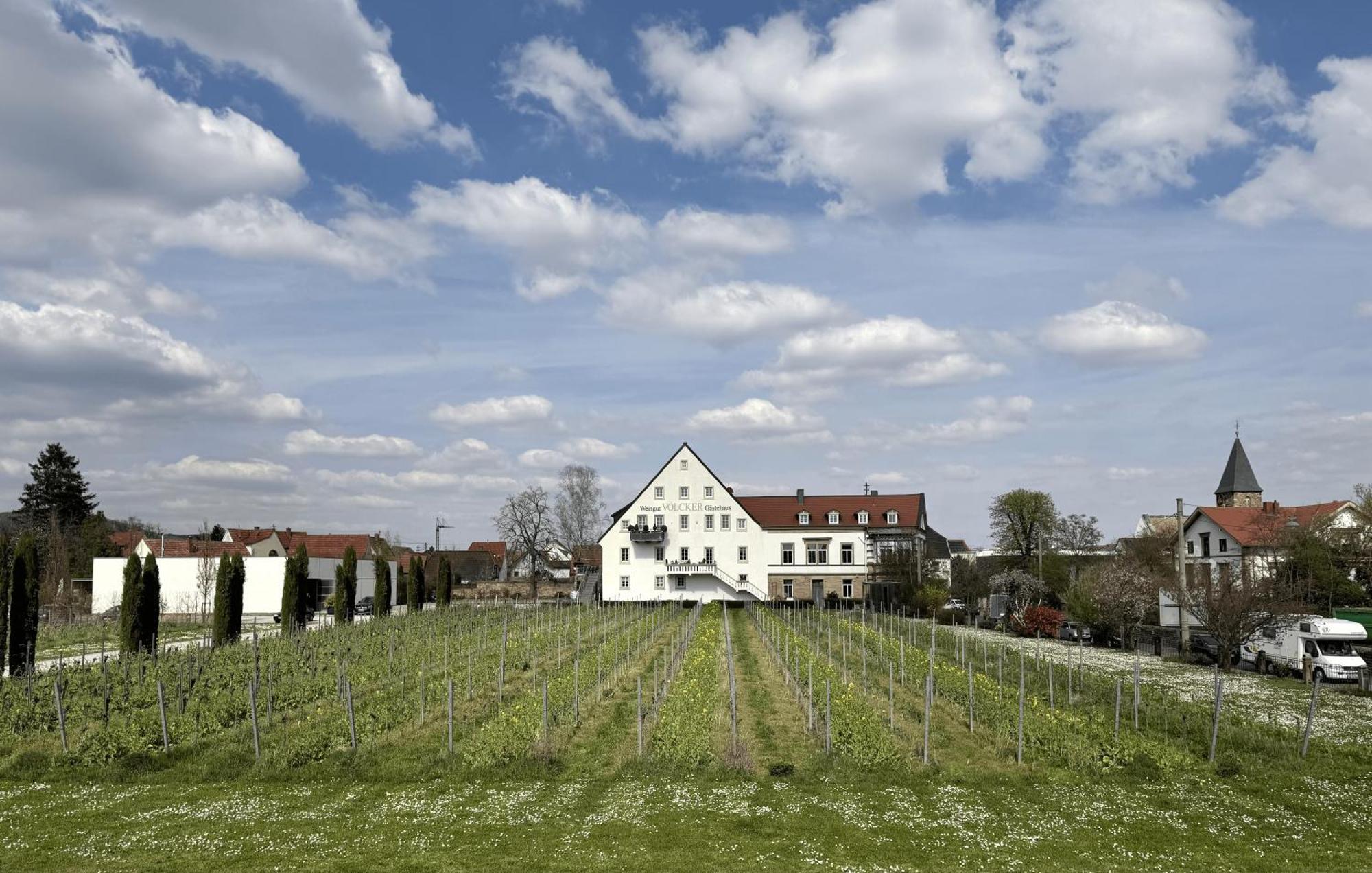 דירות Neustadt an der Weinstraße Weinzeit13 מראה חיצוני תמונה