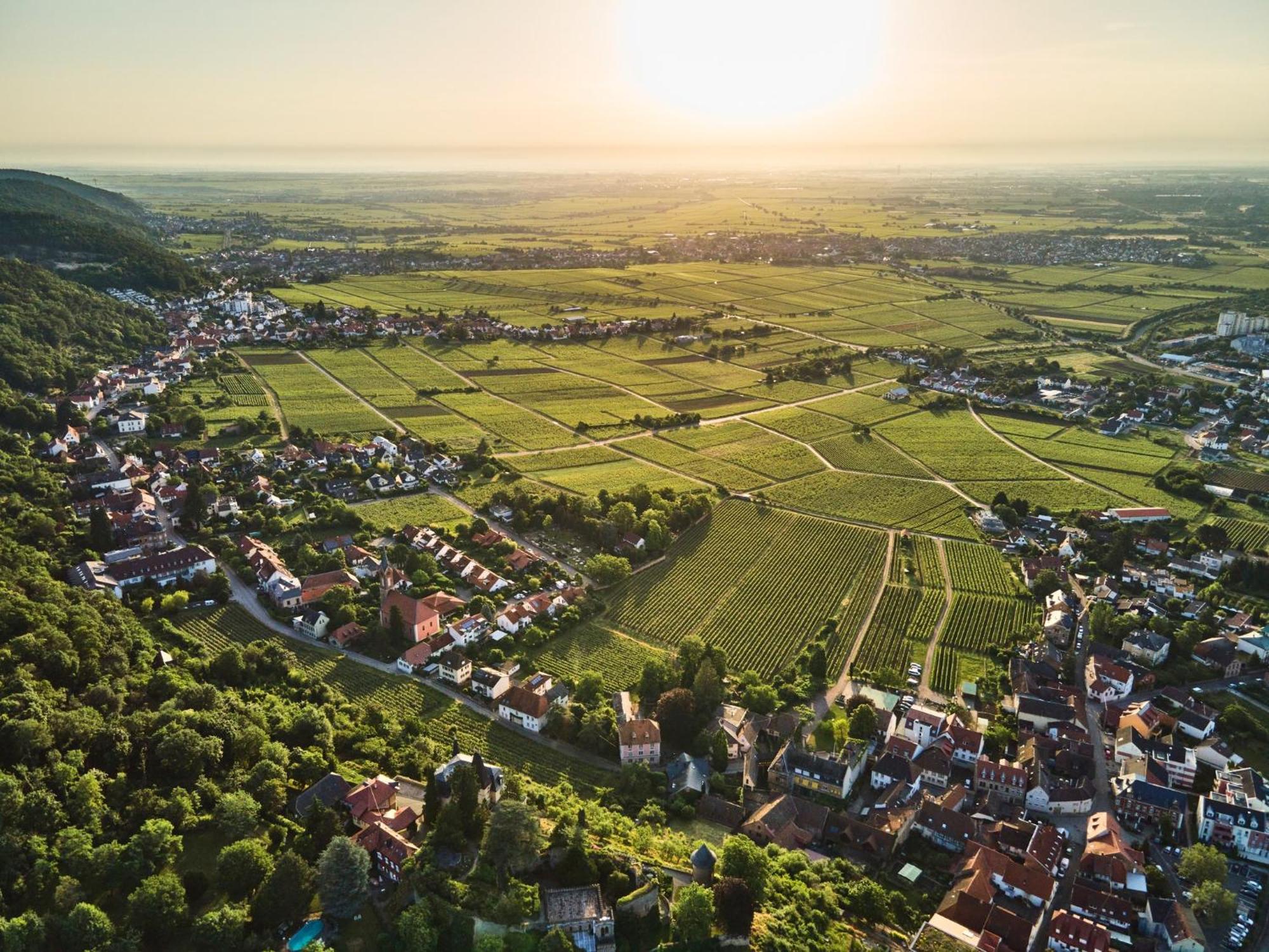 דירות Neustadt an der Weinstraße Weinzeit13 מראה חיצוני תמונה